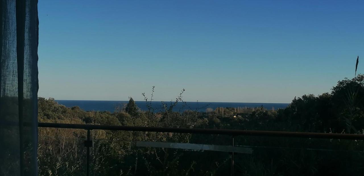 Villa Angelini Valle-di-Campoloro Εξωτερικό φωτογραφία