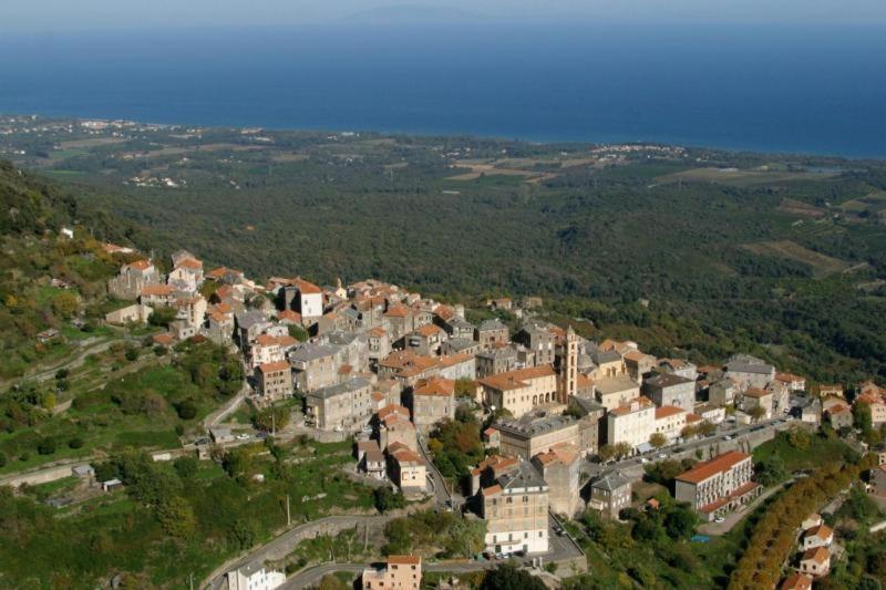 Villa Angelini Valle-di-Campoloro Εξωτερικό φωτογραφία