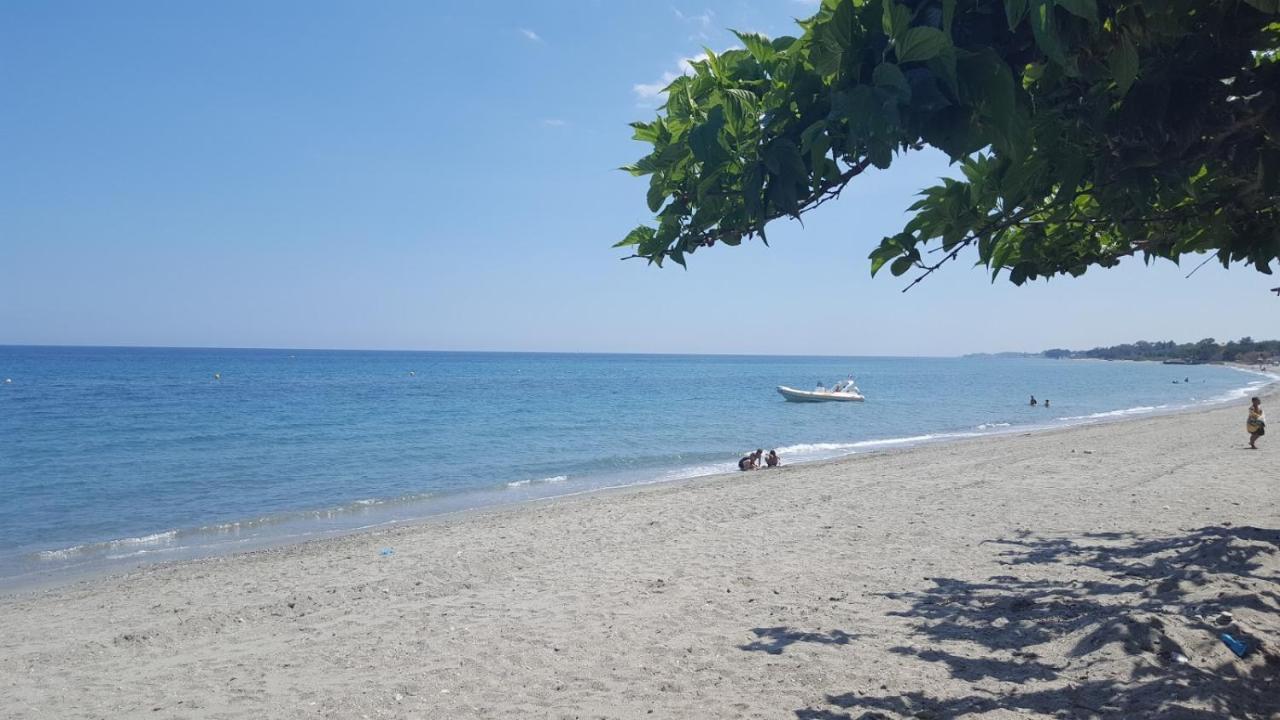 Villa Angelini Valle-di-Campoloro Εξωτερικό φωτογραφία
