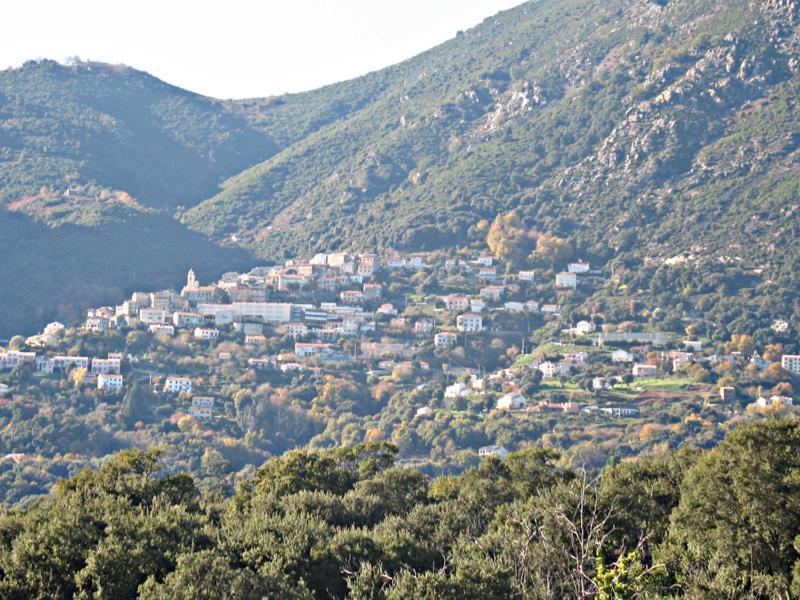 Villa Angelini Valle-di-Campoloro Εξωτερικό φωτογραφία