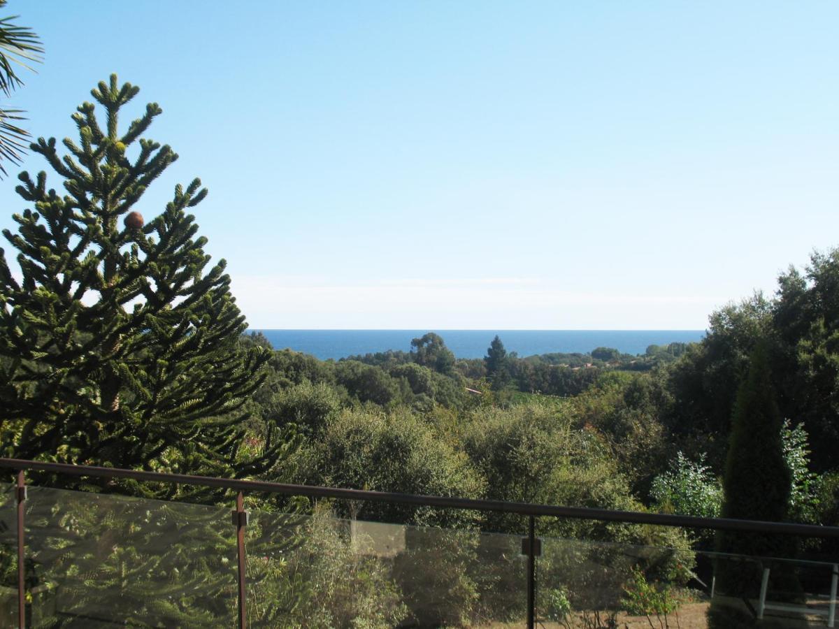 Villa Angelini Valle-di-Campoloro Εξωτερικό φωτογραφία
